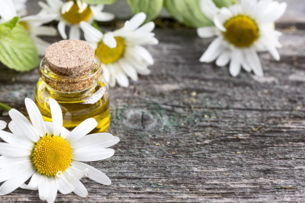 Chamomile Oil