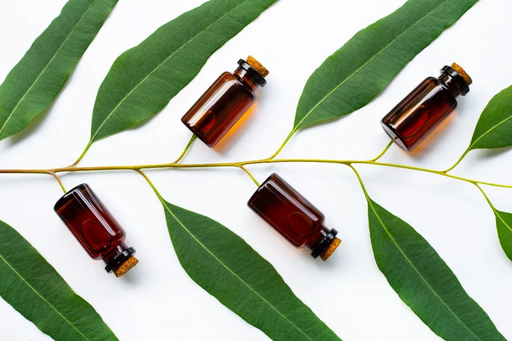 Eucalyptus Oil
